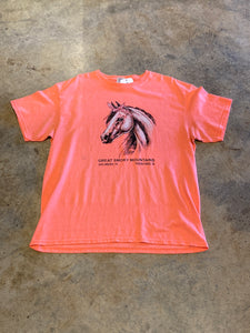 Delta Pro-Weight Great Smoky Mountains Gatlinburg TN Horse Pink Large Shirt
