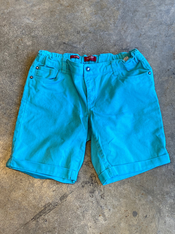 Arizona Blue Teal Bermuda Shorts 16